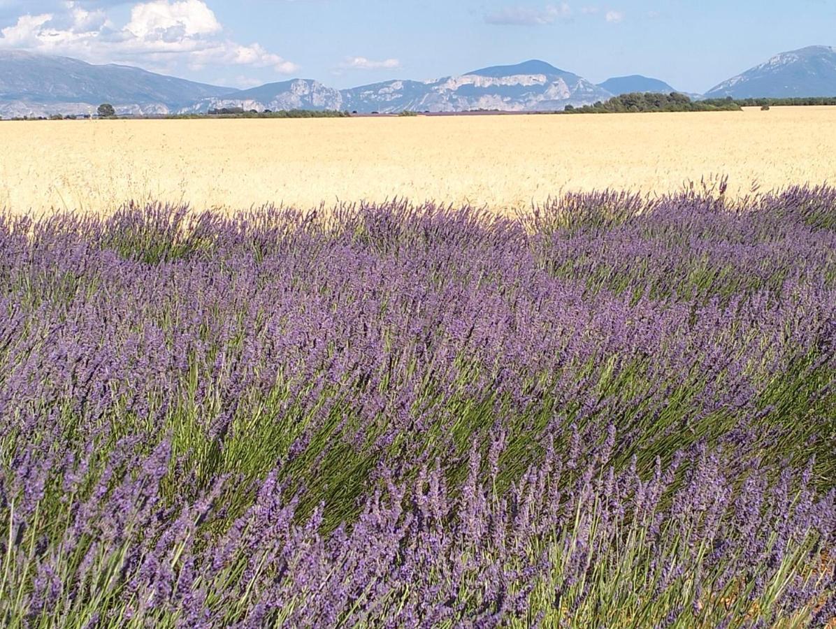 La Provence Vous Attend***!!! - 1Er Etage 디뉴레뱅 외부 사진