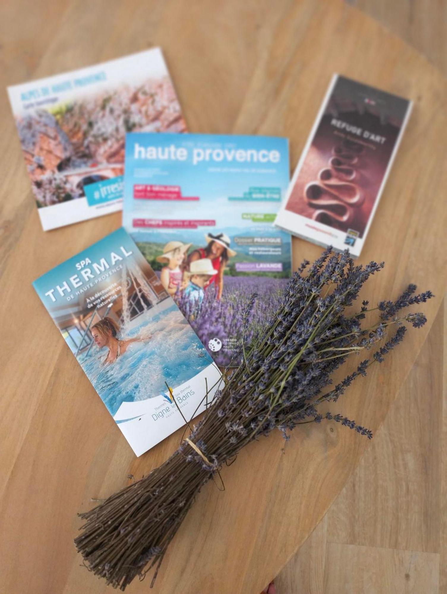 La Provence Vous Attend***!!! - 1Er Etage 디뉴레뱅 외부 사진
